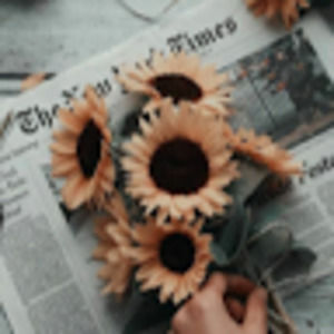 Meet your Posher, Alaia